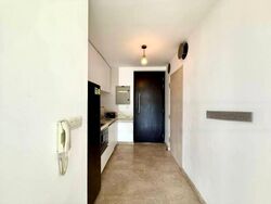 Haig 162 (D15), Apartment #488115071
